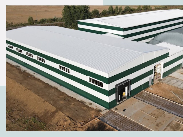 Строительство овощехранилищ в Луховицах